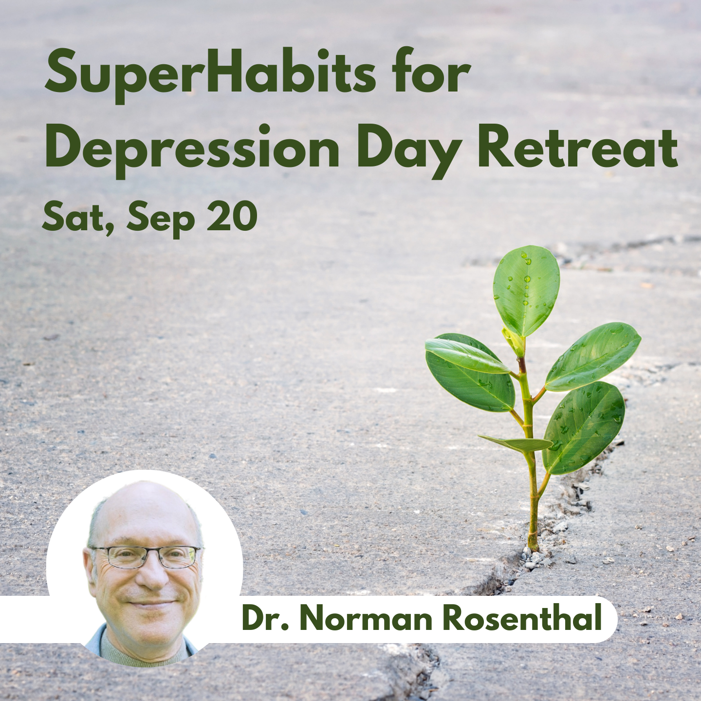 SuperHabits for Depression Day Retreat - 20 September, 2025
